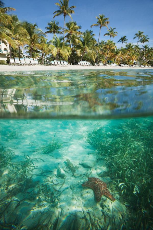 Elysian Beach Resort Назарет Экстерьер фото